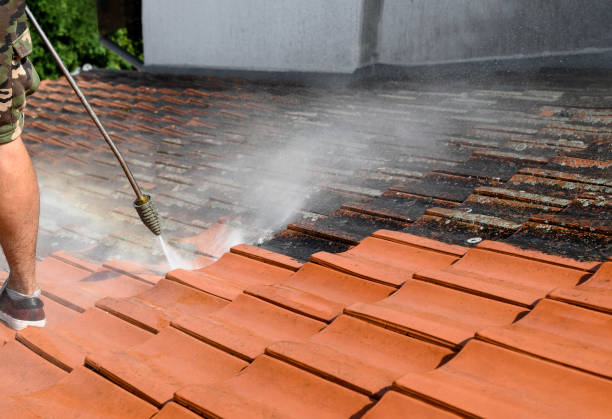 Best House Pressure Washing  in Whitesboro, NY